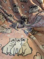 processed/0a19bf68-61df-448a-83d1-4e7d490a8c17/listing/98ff607c-34ee-4141-a26d-d97c45dd604b/52ba382b-98b0-4069-83c5-0a00bbd46ac2