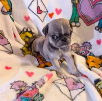 processed/0a19bf68-61df-448a-83d1-4e7d490a8c17/listing/98ff607c-34ee-4141-a26d-d97c45dd604b/aecd5160-4cc8-41bc-b9be-07cbf776b9d9