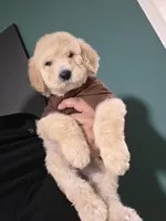 processed/0a281d5c-e45b-4026-953a-8f288c498daa/listing/895da3d5-9a9b-40ea-a0d7-72cbd9080a5e/493b626d-3220-45b3-b733-2f9f6b8ac63f