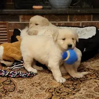 processed/0a287602-6e6f-48bb-ae17-71af973e1639/facility/4e658006-3bc0-485e-aa34-45a63426a3ab