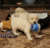 processed/0a287602-6e6f-48bb-ae17-71af973e1639/facility/4e658006-3bc0-485e-aa34-45a63426a3ab