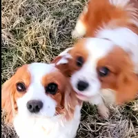 processed/0a287602-6e6f-48bb-ae17-71af973e1639/facility/7835866c-06ed-4f58-ad06-1fa05000469f