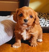 processed/0a287602-6e6f-48bb-ae17-71af973e1639/facility/8b543f62-0003-4ff2-993e-6693cbb2d314