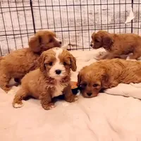 processed/0a287602-6e6f-48bb-ae17-71af973e1639/facility/9059a01a-f3f1-4835-9c37-dc93947db523