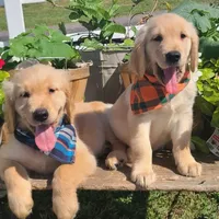 processed/0a287602-6e6f-48bb-ae17-71af973e1639/facility/b5a95d20-cec8-4a5e-967b-e7f2ef365358