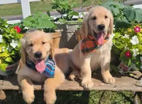 processed/0a287602-6e6f-48bb-ae17-71af973e1639/facility/b5a95d20-cec8-4a5e-967b-e7f2ef365358