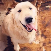 processed/0a287602-6e6f-48bb-ae17-71af973e1639/facility/e4efdc40-c8ae-4f3b-a83c-fc9958be43da