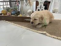 processed/0a2d44f7-f487-473f-a90c-869e64601143/listing/f9a47f30-1544-475a-a730-ba7fecfd5daa/2424488b-c3f0-42a9-83e1-9658200b5ae2