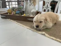 processed/0a2d44f7-f487-473f-a90c-869e64601143/listing/f9a47f30-1544-475a-a730-ba7fecfd5daa/4dd94326-6715-46a4-b14d-0983e47619c9