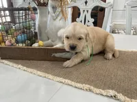 processed/0a2d44f7-f487-473f-a90c-869e64601143/listing/f9a47f30-1544-475a-a730-ba7fecfd5daa/5525f292-337f-4b13-bba9-78d246520801