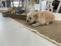 processed/0a2d44f7-f487-473f-a90c-869e64601143/listing/f9a47f30-1544-475a-a730-ba7fecfd5daa/7a4fba49-7bf8-410c-947e-063b72e3b98c