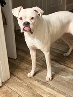 processed/0a3087f4-8504-4070-960b-493cf5dd1f8e/facility/0e5ffba9-f70a-4f37-9ac4-9698c6cec773