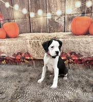 processed/0a3087f4-8504-4070-960b-493cf5dd1f8e/facility/1281b258-6102-4fb2-9764-7fe24c216d83