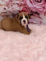 processed/0a3087f4-8504-4070-960b-493cf5dd1f8e/facility/3dc2b7fb-032e-4f8d-8e78-a88080691acb