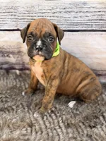 processed/0a3087f4-8504-4070-960b-493cf5dd1f8e/facility/40604f97-967a-4c6a-96b8-030712a16d33