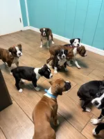 processed/0a3087f4-8504-4070-960b-493cf5dd1f8e/facility/88f9623f-c272-4c2f-ad2b-d59b23ceb99e