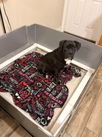 processed/0a3087f4-8504-4070-960b-493cf5dd1f8e/facility/b7053227-5692-4898-841a-bfcebc8631fd