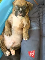 processed/0a3087f4-8504-4070-960b-493cf5dd1f8e/facility/c85949b9-f1cc-484a-9261-9d0ab63cb10f