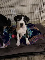 processed/0a3087f4-8504-4070-960b-493cf5dd1f8e/facility/ee241ff8-05c0-4eac-a6c1-2e7db72c0ac0