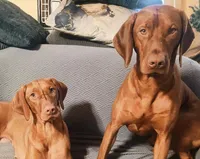 processed/0a3712c9-12d6-4987-b6ef-14d290328970/facility/01b21c03-f1ef-4460-a951-72451745d1da