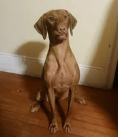 processed/0a3712c9-12d6-4987-b6ef-14d290328970/facility/0ae8b0d8-48b9-4657-a1fa-ae8fafb78dc0