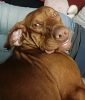 processed/0a3712c9-12d6-4987-b6ef-14d290328970/facility/532ac3ce-2a98-4839-807b-4bfbdf9354ff