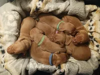 processed/0a3712c9-12d6-4987-b6ef-14d290328970/facility/840335d3-81c2-4bc2-bd38-288c7c088c29