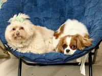 processed/0a3765de-6c82-4336-97a6-1a7f67b18b81/facility/f0baadc3-b000-4de4-bfd0-a2ac555e69d9