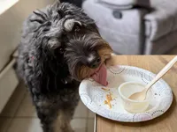 processed/0a3765de-6c82-4336-97a6-1a7f67b18b81/facility/f99f9dff-fe17-4cba-9859-efcd1b4970ce