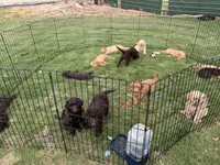 Facility photo