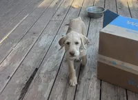 processed/0a3cb5fa-3450-4885-ad62-709ac7129909/listing/acd11d55-5a4a-4e47-a0e1-d8c613797118/06f5fed7-1a8a-4163-bed1-b1909b058e99