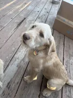 processed/0a3cb5fa-3450-4885-ad62-709ac7129909/listing/acd11d55-5a4a-4e47-a0e1-d8c613797118/134a2475-b9b2-423f-b857-d0cc528f233a