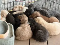 processed/0a3cb5fa-3450-4885-ad62-709ac7129909/listing/acd11d55-5a4a-4e47-a0e1-d8c613797118/3cb0ccde-b1c6-4e76-8e13-ee261cfc0903