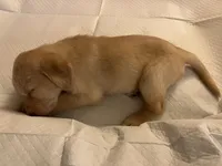 processed/0a3cb5fa-3450-4885-ad62-709ac7129909/listing/acd11d55-5a4a-4e47-a0e1-d8c613797118/45d6bf33-5055-40aa-bdd7-a765a7d76d15