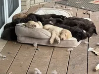 processed/0a3cb5fa-3450-4885-ad62-709ac7129909/listing/d5dd805d-6a11-43bd-800d-8e6e220d8026/24f74a76-8018-40c1-bd5f-4e5800aa9bb3