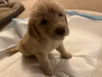 processed/0a3cb5fa-3450-4885-ad62-709ac7129909/listing/d5dd805d-6a11-43bd-800d-8e6e220d8026/49a53bad-89b3-499c-bb83-e8ac96f18257