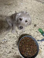 processed/0a3cb5fa-3450-4885-ad62-709ac7129909/listing/d5dd805d-6a11-43bd-800d-8e6e220d8026/ab71c010-cef8-4000-ba79-ec76e1f4a18b