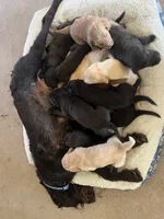 processed/0a3cb5fa-3450-4885-ad62-709ac7129909/listing/d5dd805d-6a11-43bd-800d-8e6e220d8026/edcb1a92-7848-481f-b11a-b83397dd1211