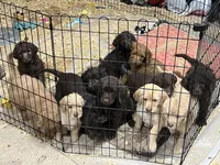 processed/0a3cb5fa-3450-4885-ad62-709ac7129909/listing/d5dd805d-6a11-43bd-800d-8e6e220d8026/fb5a6fd0-0c60-490d-802d-b105164afcac