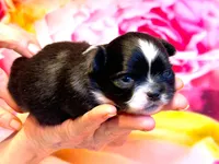 processed/0a40119f-28d1-41c7-9bcb-6ecac52f092f/listing/376b6299-3b3b-4624-99a8-ea57ddfb30eb/1407c5f7-c367-43c9-8c15-9a259112a982