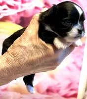 processed/0a40119f-28d1-41c7-9bcb-6ecac52f092f/listing/376b6299-3b3b-4624-99a8-ea57ddfb30eb/15dda7d4-7b89-4f97-ac0c-05e842e14f71