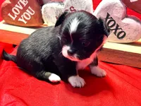 processed/0a40119f-28d1-41c7-9bcb-6ecac52f092f/listing/376b6299-3b3b-4624-99a8-ea57ddfb30eb/1cef3248-c842-423c-95cb-d3be501d13c3