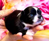 processed/0a40119f-28d1-41c7-9bcb-6ecac52f092f/listing/376b6299-3b3b-4624-99a8-ea57ddfb30eb/3cfd3381-3e17-48b1-a679-74d6b926514a