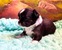 processed/0a40119f-28d1-41c7-9bcb-6ecac52f092f/listing/376b6299-3b3b-4624-99a8-ea57ddfb30eb/834cce07-1faa-47a2-a476-014dc882c6db