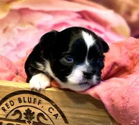 processed/0a40119f-28d1-41c7-9bcb-6ecac52f092f/listing/376b6299-3b3b-4624-99a8-ea57ddfb30eb/8c51621f-1010-4f98-aa1e-3c855bda24ec