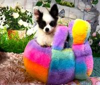 ARKS Bluetooth, a male Chihuahua for sale in Red Bluff, CA – Photo 4 of 10