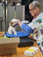 processed/0a5328b3-63da-47cf-b157-9d2370ca13c8/facility/307e4e79-b4b4-4901-92a5-b3a7e7994b57