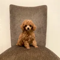 processed/0a5328b3-63da-47cf-b157-9d2370ca13c8/facility/679791c8-33ae-4ef0-a1d4-4813f817bd1c