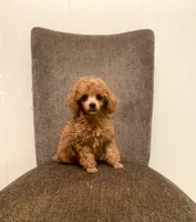 processed/0a5328b3-63da-47cf-b157-9d2370ca13c8/facility/679791c8-33ae-4ef0-a1d4-4813f817bd1c