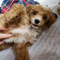 processed/0a5328b3-63da-47cf-b157-9d2370ca13c8/facility/688f3ea1-da75-46bc-ae38-1f2afaacf67a